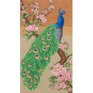 Majestic peacock