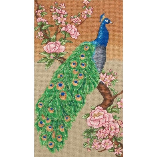 Majestic peacock