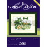 Scenery clover