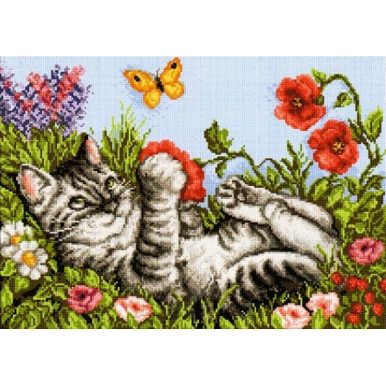 Игриво коте