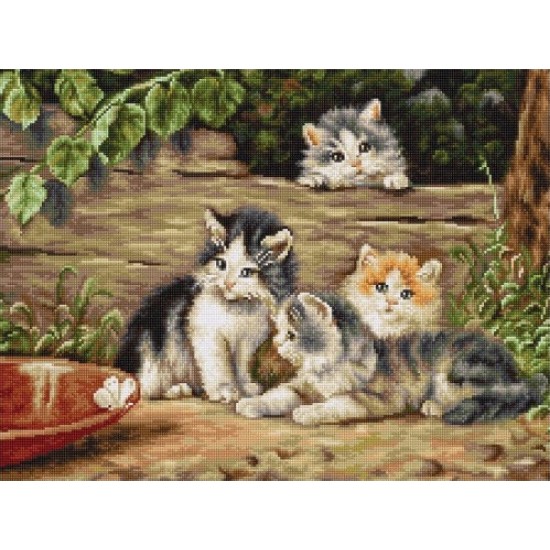 Котета
